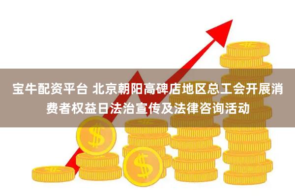 宝牛配资平台 北京朝阳高碑店地区总工会开展消费者权益日法治宣传及法律咨询活动