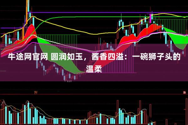 牛途网官网 圆润如玉，酱香四溢：一碗狮子头的温柔